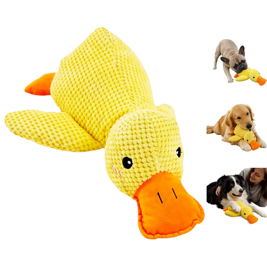 HushPaw™ Duck Toy