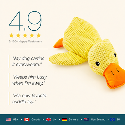 HushPaw™ Duck Toy