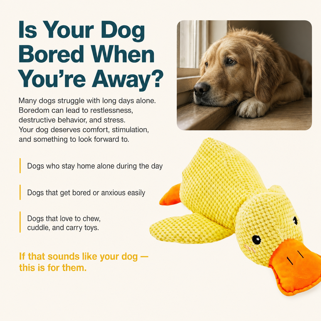 HushPaw™ Duck Toy