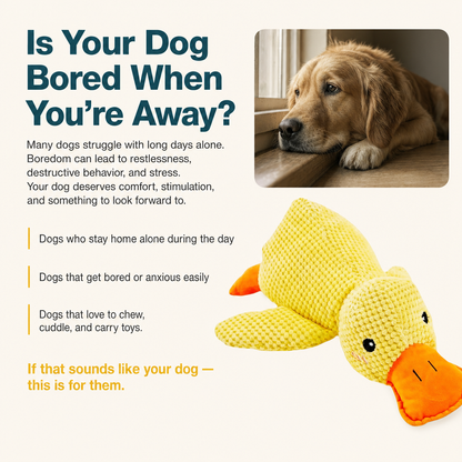 HushPaw™ Duck Toy